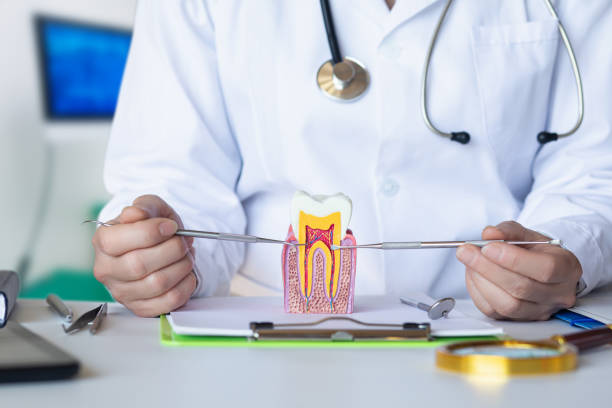Best Emergency Root Canal Therapy in North Granby, CT
